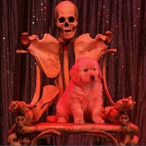 Meet your Posher, Rosemary